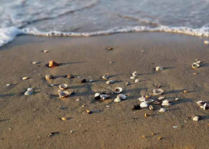 Colorful Overlooking The Sea Appartamento *
